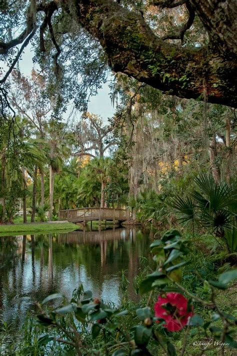 Longwood, FL | Longwood florida, Places to go, Weekend getaways