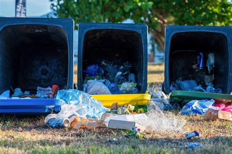 What Is Dumpster Diving? | Value Dumpster Rental Fresno