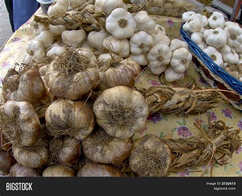 Garlic Varieties Stock Photo & Stock Images | Bigstock