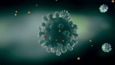 Realistic Medical Animation Of Coronavirus Stock Motion Graphics SBV-338318640 - Storyblocks