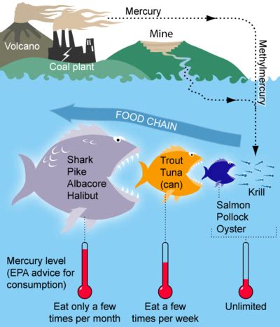 Outstanding Tips About How To Prevent Mercury Pollution - Philosophypeter5