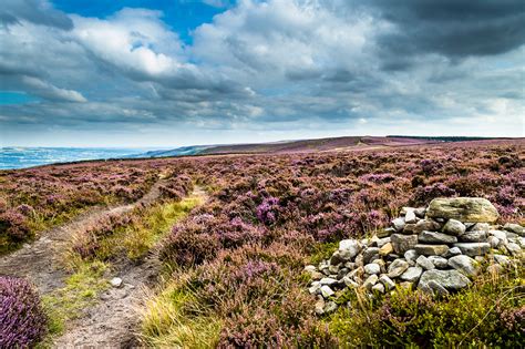 The Wild Moors of Yorkshire :: Behance