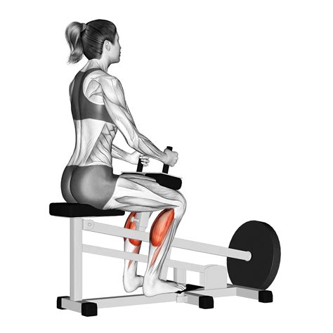 Standing vs Seated Calf Raises: Which is Best? - Inspire US