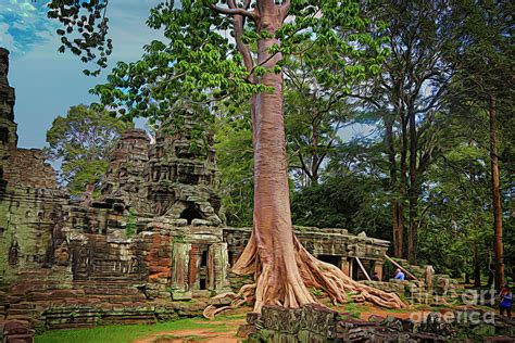 Large Ta Prohm Trees Cambodia Photograph by Chuck Kuhn - Fine Art America