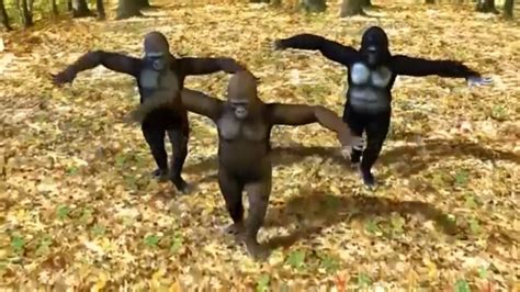 Monkey dance // funny dance - YouTube