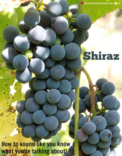 Shiraz - how to sound like you know what you’re talking about - Mr and Mrs RomanceMr and Mrs Romance