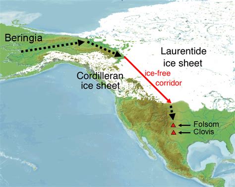 Clovis debunked: America's first settlers did not take the ice-free ...