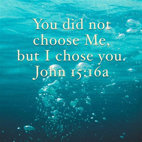 John 15:16 You did not choose Me, but I chose you. I appointed you that you should go out and ...