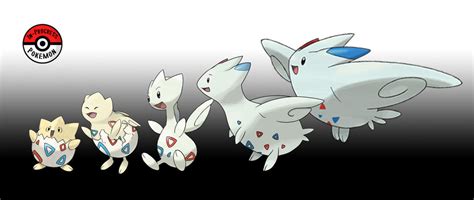 175 - 468 Togepi Line by InProgressPokemon on DeviantArt