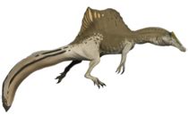 Santanaraptor - Wikipedia