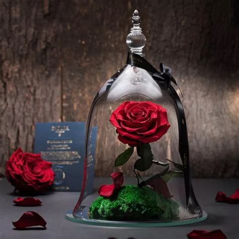 Endura Roses has opened in Bluewater and it's selling Beauty and the Beast inspired roses - Kent ...