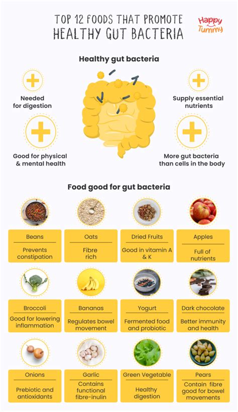 Top 12 Foods That Promote Healthy Gut Bacteria - Happytummy