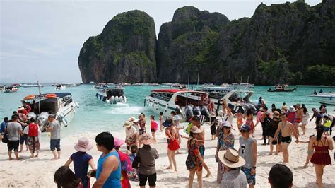 The Beach movie location on Thai island to be shut for 4-month ...