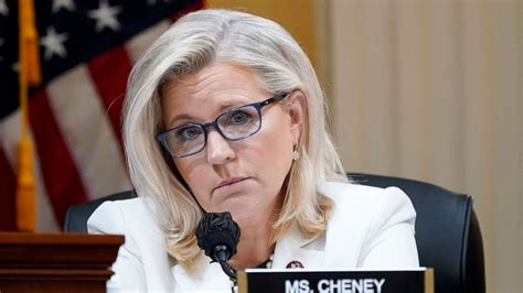 How Liz Cheney went from rising Republican star to primary underdog ...