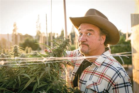 Why Actor Jim Belushi Traded Hollywood for a Pot Farm in Southern ...