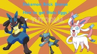 Search how to breed riolu in pokemon brick bronze - GenYoutube