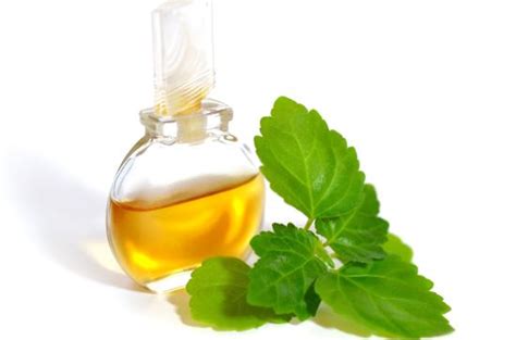 15 Amazing Benefits of Patchouli Essential Oil | Organic Facts