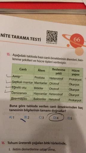 NITE TARAMA TESTİ 2 15. Aşağıdaki tabloda bazı canlı örneklerinin âlemleri, bes- lenme şekilleri ...