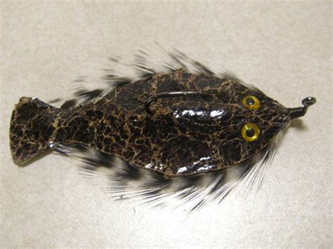 Gary Borger » Blog Archive » Bugskin Flatfish (Baby Flounder)