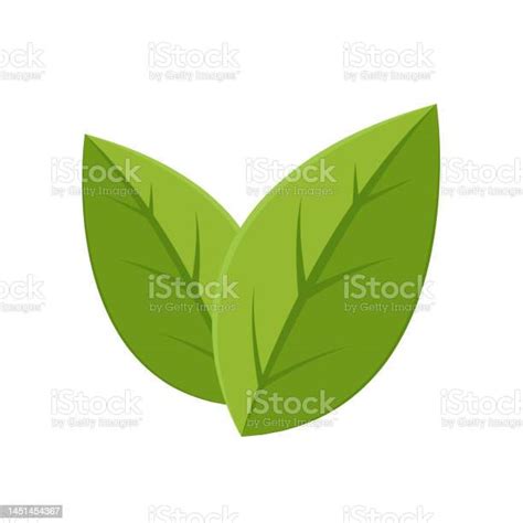 Green Tea On White Background Matcha Vector Stock Illustration - Download Image Now - Logo ...