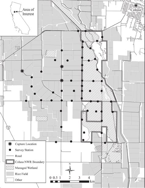 Study area in California’s Sacramento Valley including potential Dunlin... | Download Scientific ...