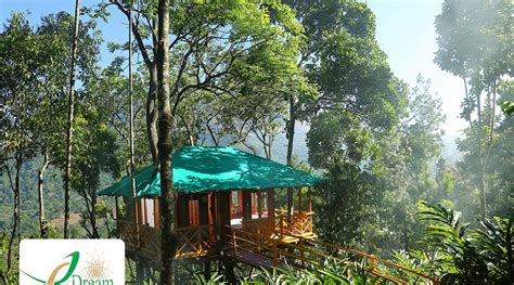 Dreamcatcher Resort Munnar Treehouse Honeymoon