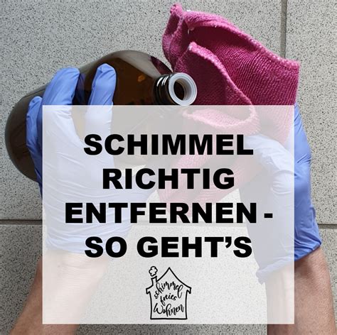 Schimmel dauerhaft entfernen - so geht es richtig