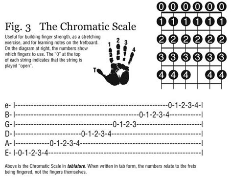 Free Guitar Class: 1:7 The Chromatic Scale