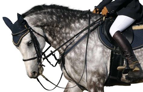 Horse Tack: 15 Essential Horse Equipment For Owner and Horseback Rider | Horses, Horseback rider ...