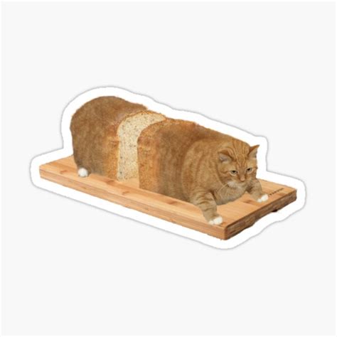 "Cat Loaf Meme" Sticker for Sale by redakhatib | Redbubble