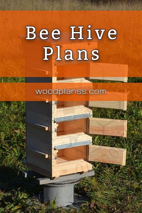 Diy Bee Hive Plans | Bee hive plans, Advanced woodworking plans, Diy building