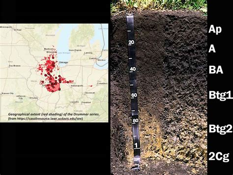 Mollisols | Soil & Water Systems | University of Idaho