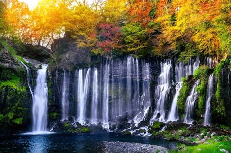 Free Photo | Shiraito waterfall in japan.