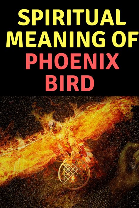 Spiritual Meaning of The Phoenix Bird + Legends & Myths | Meaning of phoenix, Phoenix bird ...