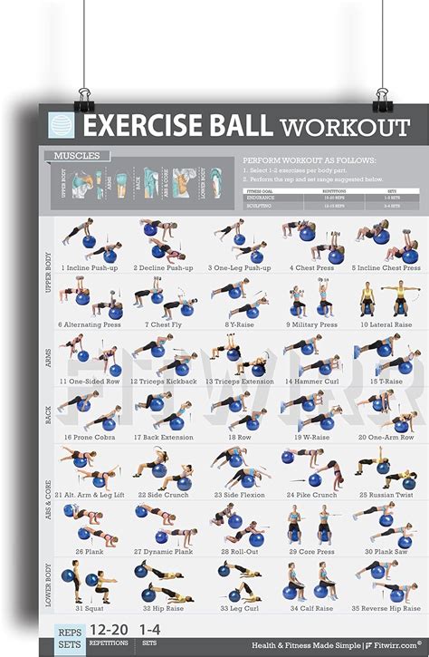 Amazon.com: 19"x27" Exercise Ball Workout Poster Laminated - 35 ...