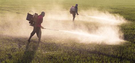 Introduction to Pesticides - Northwest Center for Alternatives to Pesticides