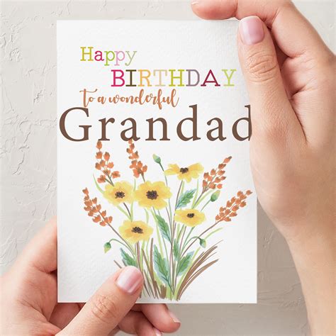 Special Grandad Birthday Greeting Card Cards