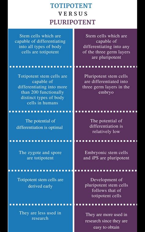 Compare pluripotent,totipotent,multi potent and unipotent stem cells wiyh examples