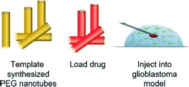 Poly(ethylene glycol) based nanotubes for tuneable drug delivery to glioblastoma multiforme ...