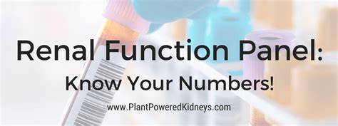 Renal Function Panel: Know Your Numbers | Plant-Powered Kidneys | Renal Diet For Kidney Health