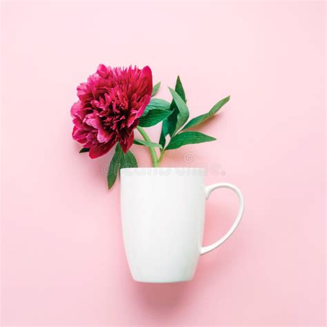 A cup with pink flower. stock image. Image of bloom - 116828377