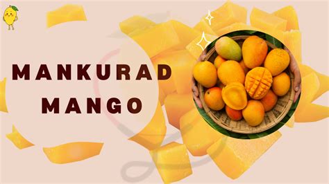 Mankurad Mangoes- Origin, Cultivation, Characteristics, Nutrition, Benefits, & Delicious Recipes ...