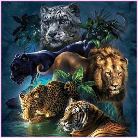 5 Greatest Big Cat Diamond Painting | Diamond Painting Big Cats | Diamond Art Cats