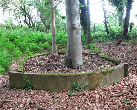 WW2 remains in wood © Evelyn Simak :: Geograph Britain and Ireland
