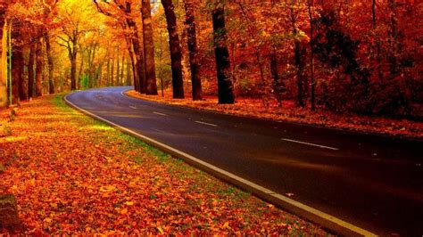 Fall Road | Windows Themes