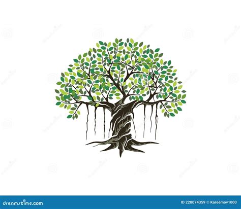 Banyan Tree Logo Template Image Vector Illustration | CartoonDealer.com ...