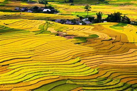 Free Images : landscape, prairie, soil, agriculture, plain, northwest, district, fields, terrace ...