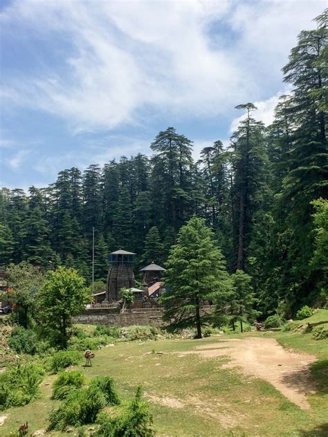 Jageshwar Dham Temple in Uttarakhand – The Bum who Travels