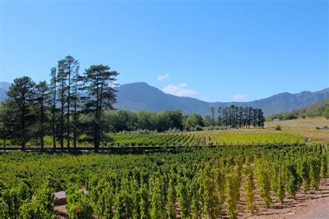 Rickety Bridge Winery Estate, Franschhoek, South Africa