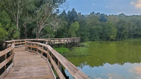 Favorite Tallahassee Parks - Top Picks for Tallahassee's Trailblazers ...